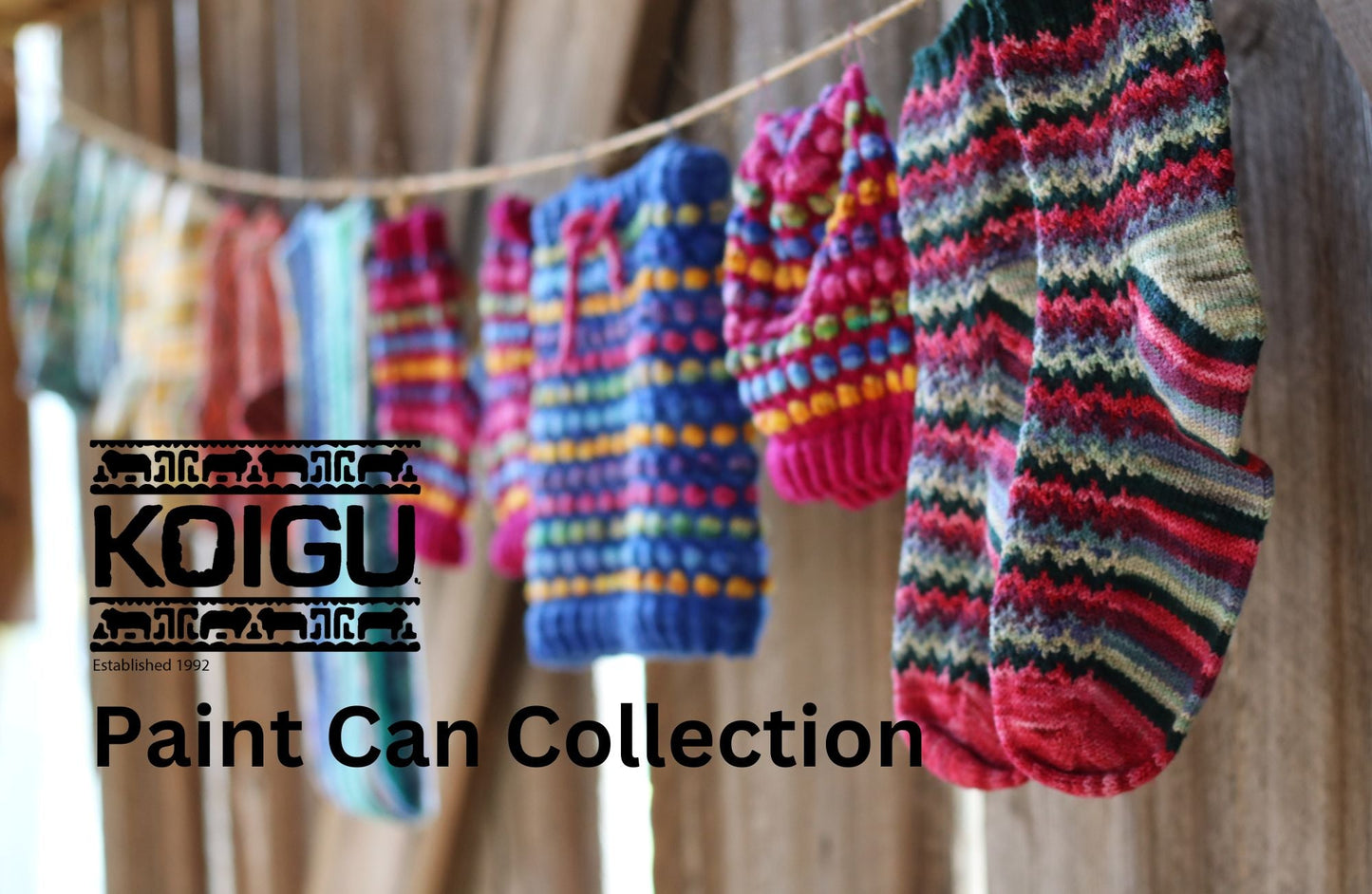 Koigu Paint Can Collection Livre imprimé