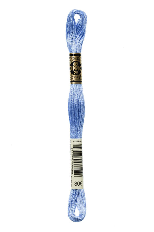 DMC Embroidery Floss 809