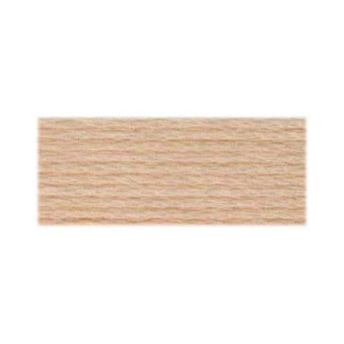 DMC Embroidery Floss 948