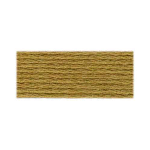 DMC Embroidery Floss 3045