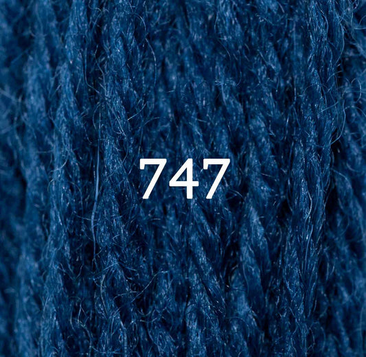 Appletons Tapestry Yarn Hank 747 5g