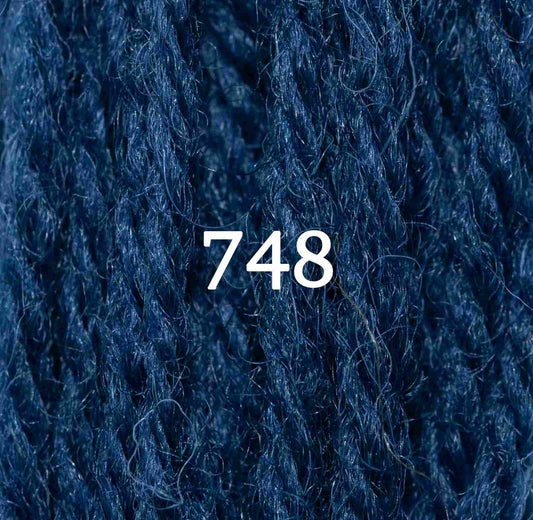 Appletons Tapestry Yarn Hank 748 5g