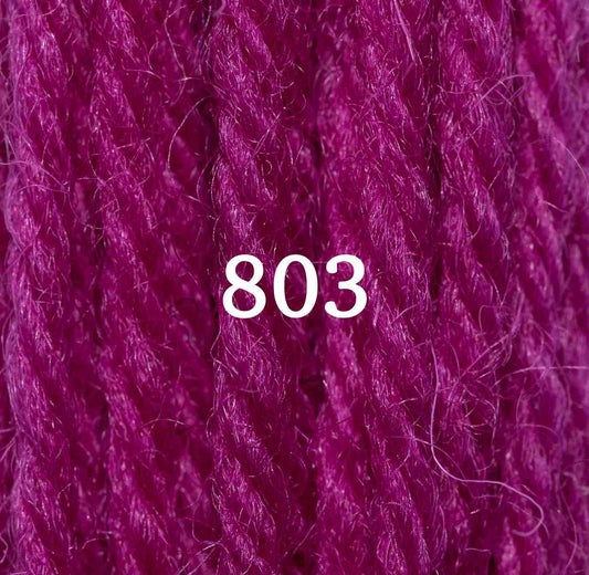 Appletons Tapestry Yarn Hank 803 5g