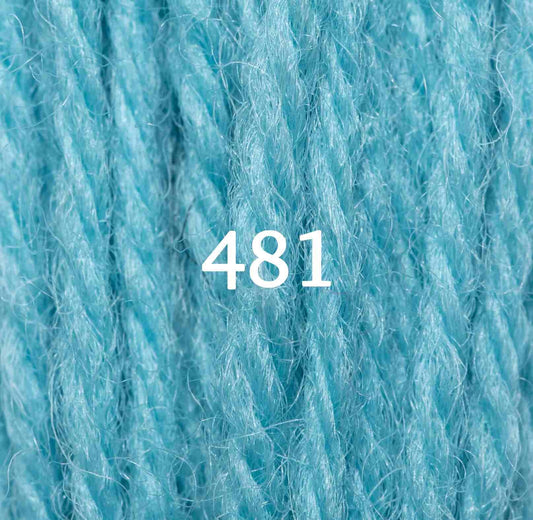 Appletons Tapestry Yarn Hank 481 5g