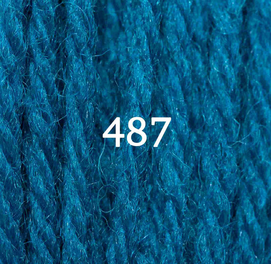 Appletons Tapestry Yarn Hank 487 2g