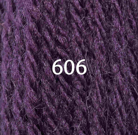 Appletons Tapestry Yarn Hank 606 5g