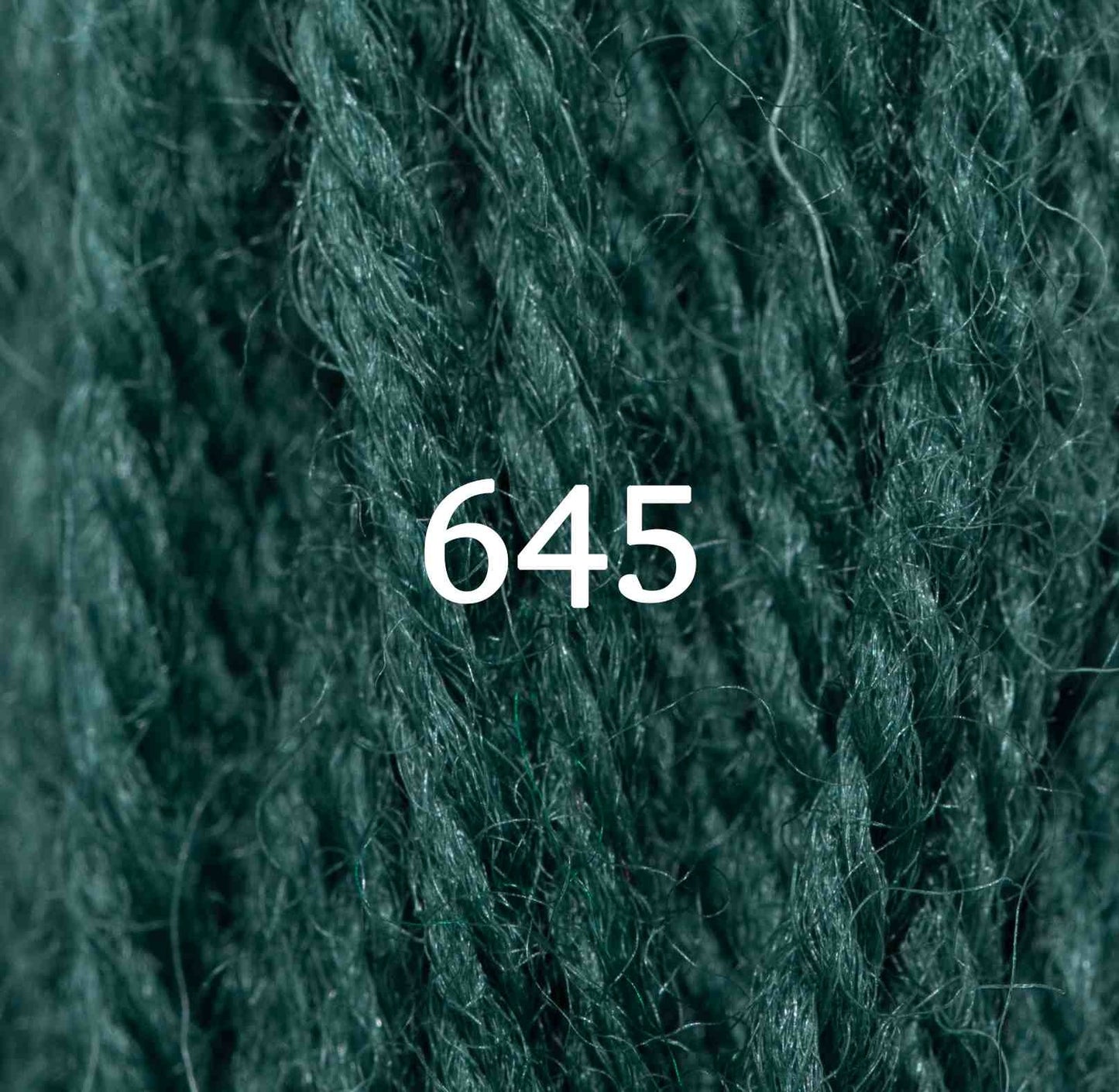 Appletons Tapestry Yarn Hank 645 5g