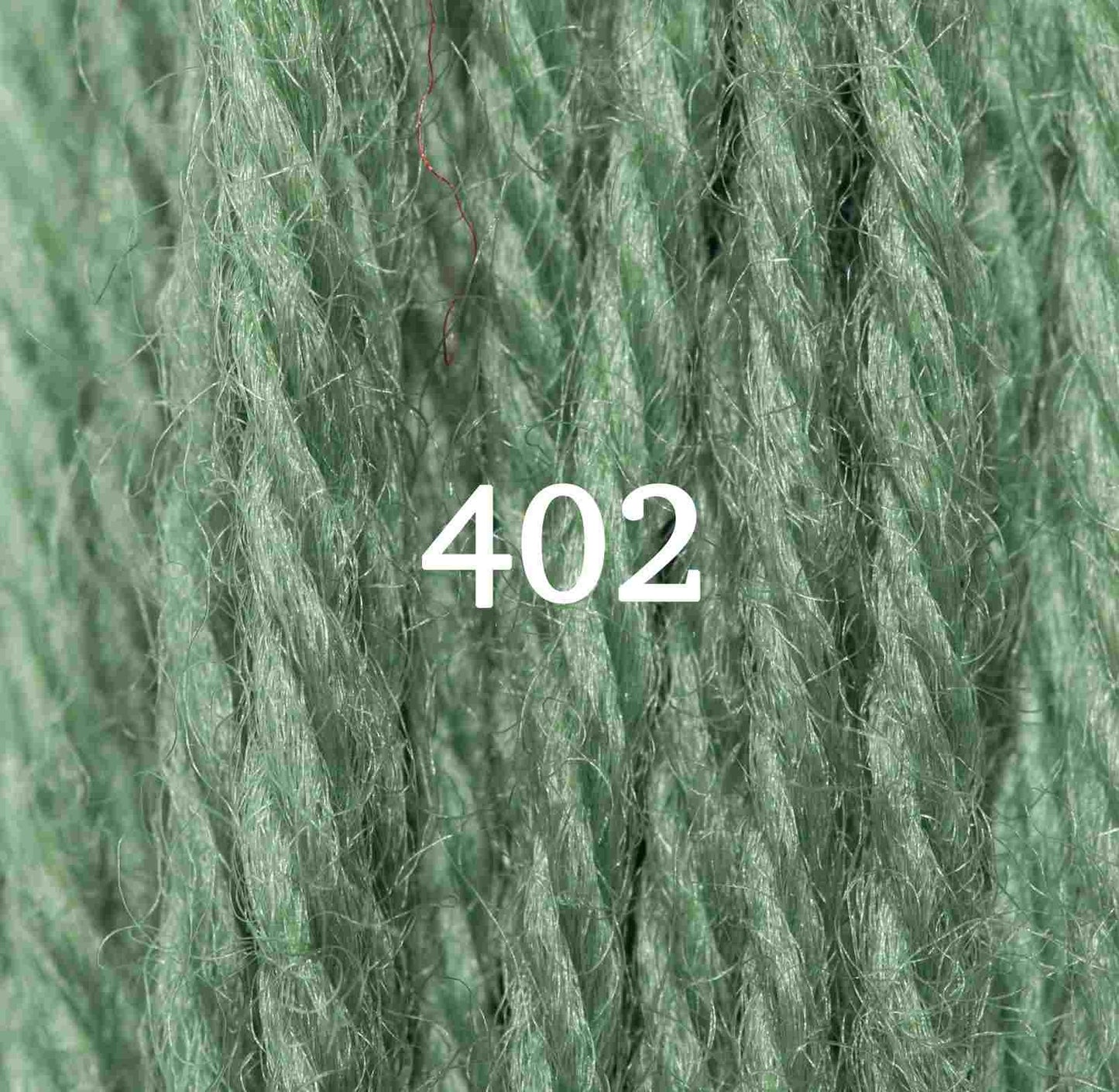 Appletons Tapestry Yarn Hank 402 5g