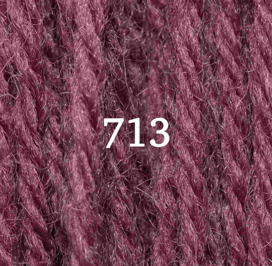 Appletons Tapestry Yarn Hank 713 5g